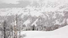 Snow snow landscapes