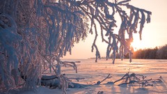 Snow snow landscapes