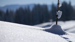 Snow stick snow landscapes
