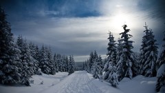 Snow sun cold roads skies