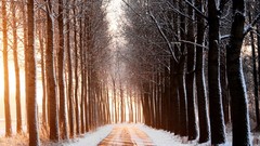 Snow sun roads avenue