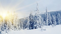 Snow sun snow landscapes