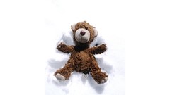 Snow teddy bears