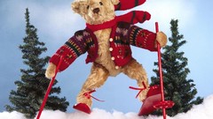 Snow teddy bears ski