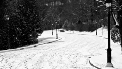 Snow thread high Resolution