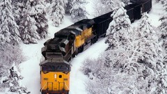 Snow trains