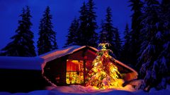 Snow tree Christmas House