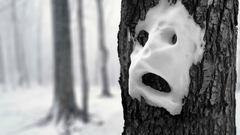 Snow Trees faces