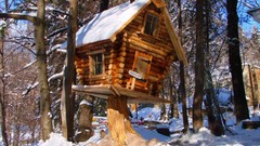 Snow Trees houses