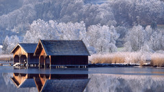 Snow Trees houses lakes