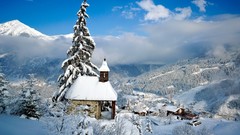 Snow Trees Landscapes nature