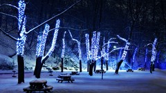 Snow Trees lights