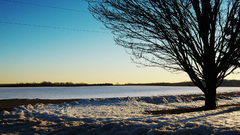 Snow Trees silhouettes Landscapes