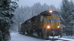 Snow Trees trains train