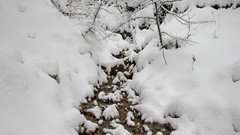 Snow water streams