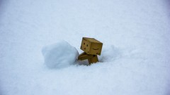 Snow white snowball danboard
