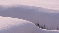 Snow widescreen background nature