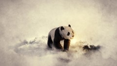 Snow winter Animals black and white cold widescreen panda bears
