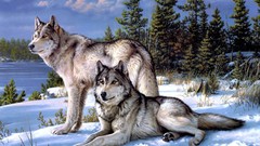 Snow winter Animals Wolves