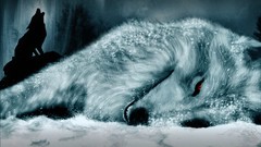 Snow winter Animals Wolves