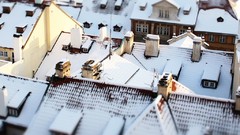 Snow winter Birds Prague houses czech perspective