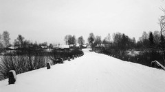 Snow winter black and white cold white frost Russia countryside 