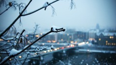 Snow winter blue branches lights Bridges blurred cities