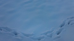 Snow winter blue white trail