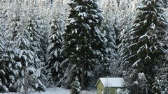 Snow winter cabin forests