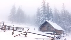 Snow winter cabin pine trees snow landscapes