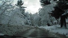 Snow winter cars roads forests