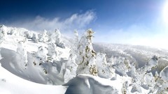 Snow winter Christmas snowy