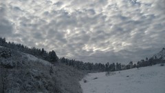 Snow winter cold forests skyscapes