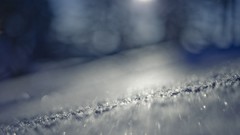 Snow winter cold ice sunny depth of field