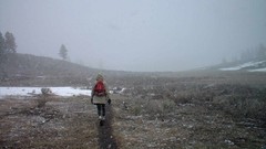 Snow winter cold lonely