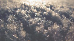 Snow winter crystals depth of field
