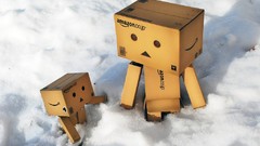 Snow winter danboard amazon