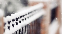 Snow winter fences depth of field
