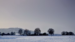 Snow winter fields