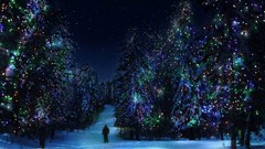 Snow winter Holidays Christmas outdoors Christmas Lights
