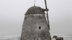 Snow winter Horses sweden Mills grayscale Pentti Sammallahti