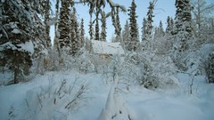 Snow winter hut forests