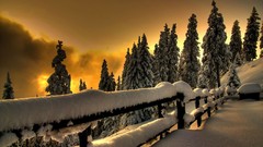 Snow winter ice fences