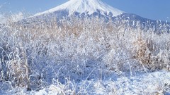 Snow winter Japan mount fuji
