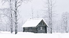 Snow winter logs British Columbia woods cabin