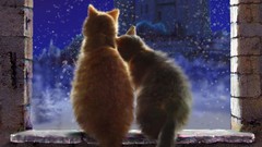 Snow winter love cats