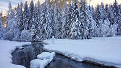 Snow winter Mountains