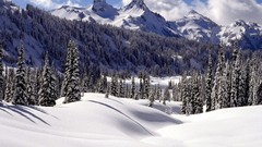 Snow winter Mountains Washington Range Mount Rainier