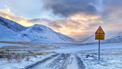 Snow winter new year