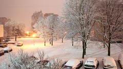 Snow winter night cars